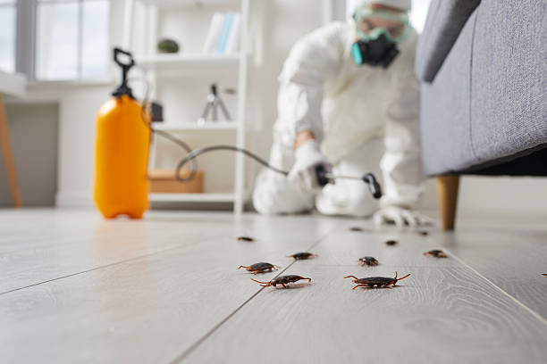 Commercial Kitchen Cockroach Control in Twin Lakes